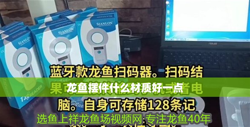 龍魚擺件什么材質好一點 龍魚擺件什么材質好一點 龍魚百科 第2張