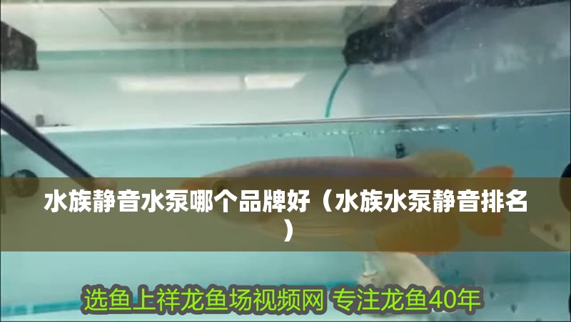 水族靜音水泵哪個品牌好（水族水泵靜音排名）
