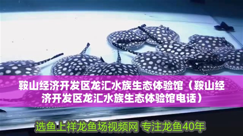 鞍山經濟開發區龍匯水族生態體驗館（鞍山經濟開發區龍匯水族生態體驗館電話） 鞍山經濟開發區龍匯水族生態體驗館（鞍山經濟開發區龍匯水族生態體驗館電話） 全國水族館企業名錄 第2張