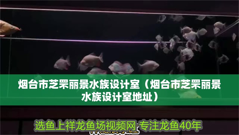 煙臺市芝罘麗景水族設計室（煙臺市芝罘麗景水族設計室地址） 煙臺市芝罘麗景水族設計室（煙臺市芝罘麗景水族設計室地址） 全國水族館企業名錄 第2張