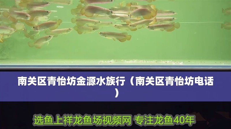 南關區青怡坊金源水族行（南關區青怡坊電話）