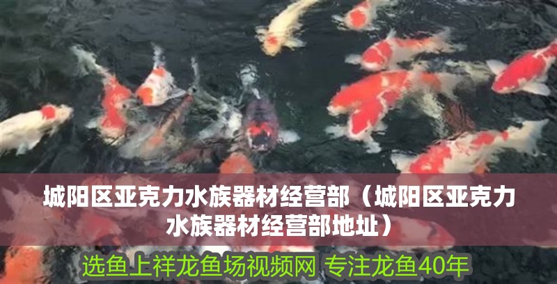 城陽區(qū)亞克力水族器材經(jīng)營部(城陽區(qū)亞克力水族器材經(jīng)營部地址) 全國水族館企業(yè)名錄 第2張 城陽區(qū)亞克力水族器材經(jīng)營部(城陽區(qū)亞克力水族器材經(jīng)營部地址) 城陽區(qū)亞克力水族器材經(jīng)營部(城陽區(qū)亞克力水族器材經(jīng)營部地址) 全國水族館企業(yè)名錄 第2張