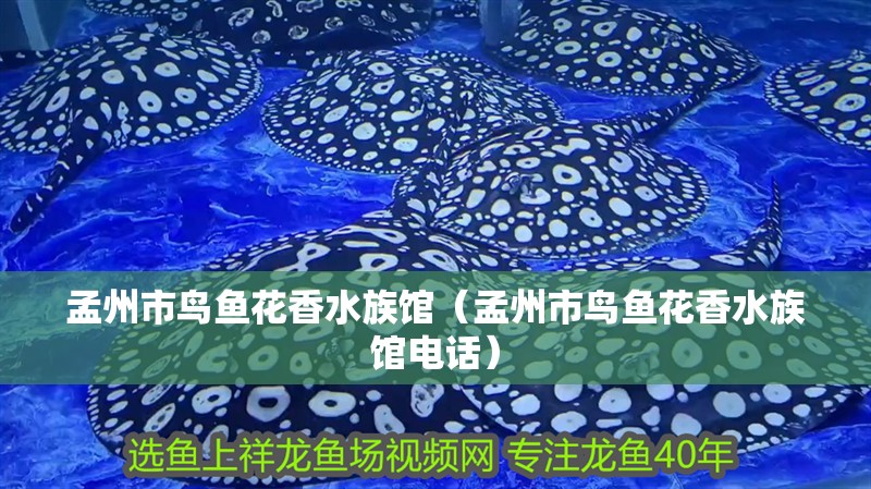 孟州市鳥魚花香水族館（孟州市鳥魚花香水族館電話）