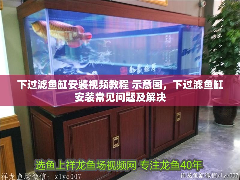 下過濾魚缸安裝視頻教程 示意圖，下過濾魚缸安裝常見問題及解決