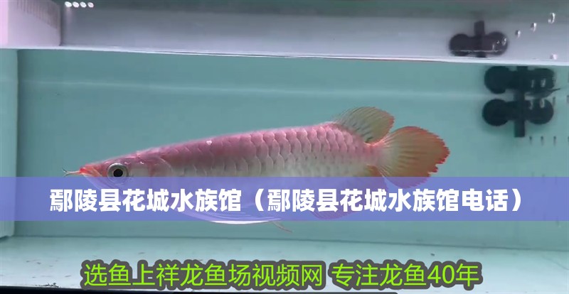 鄢陵縣花城水族館（鄢陵縣花城水族館電話）