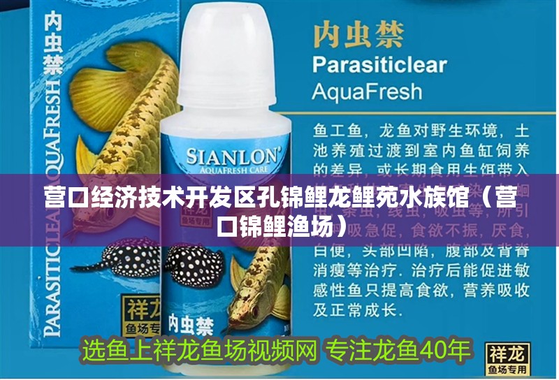 營口經(jīng)濟技術(shù)開發(fā)區(qū)孔錦鯉龍鯉苑水族館（營口錦鯉漁場）