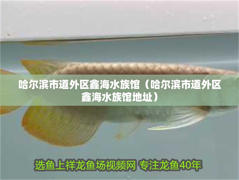 哈爾濱市道外區(qū)鑫海水族館（哈爾濱市道外區(qū)鑫海水族館地址）
