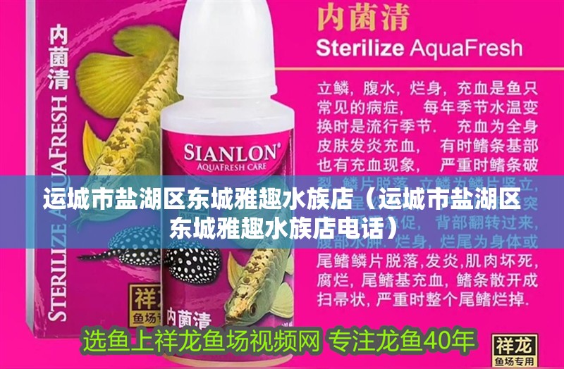 運城市鹽湖區東城雅趣水族店（運城市鹽湖區東城雅趣水族店電話）