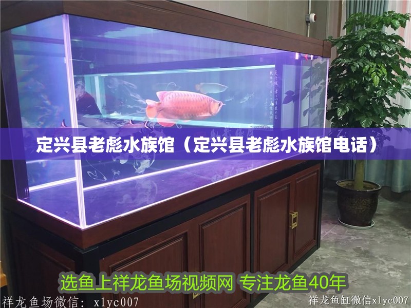 定興縣老彪水族館（定興縣老彪水族館電話） 定興縣老彪水族館（定興縣老彪水族館電話） 全國水族館企業名錄 第2張