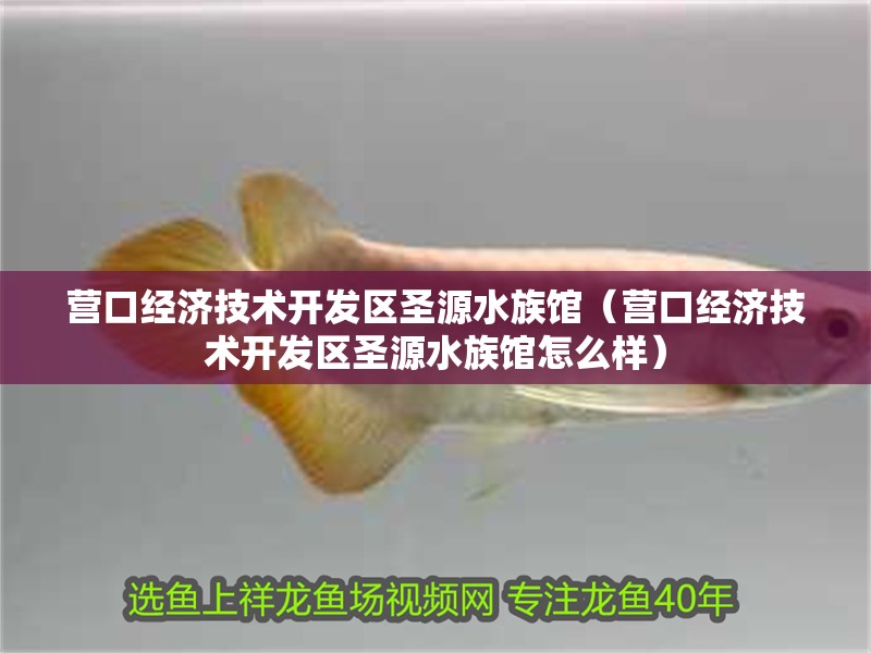 營口經濟技術開發區圣源水族館（營口經濟技術開發區圣源水族館怎么樣）