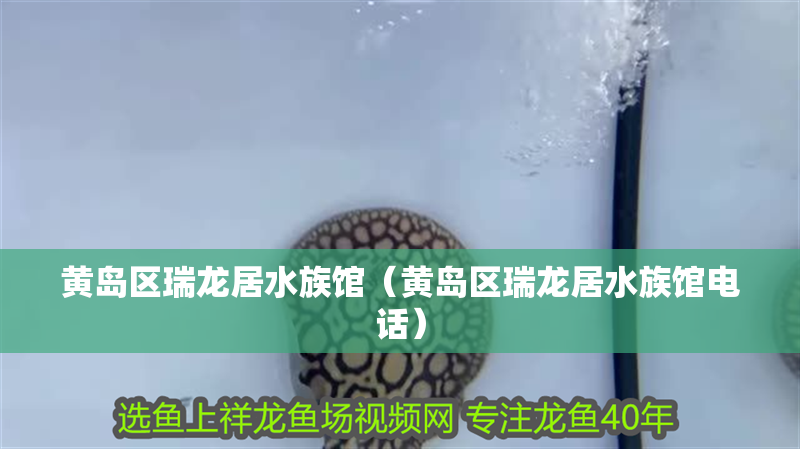 黃島區瑞龍居水族館（黃島區瑞龍居水族館電話）