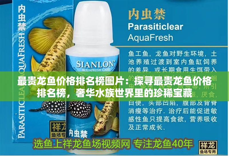 最貴龍魚價(jià)格排名榜圖片：探尋最貴龍魚價(jià)格排名榜，奢華水族世界里的珍稀寶藏