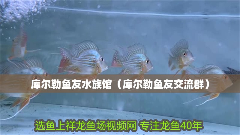 庫(kù)爾勒魚(yú)友水族館（庫(kù)爾勒魚(yú)友交流群）