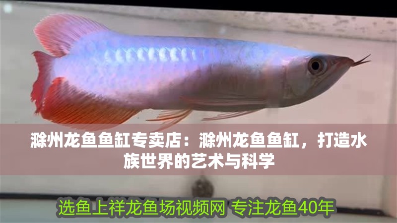 滁州龍魚魚缸專賣店：滁州龍魚魚缸，打造水族世界的藝術(shù)與科學(xué) 滁州龍魚魚缸專賣店：滁州龍魚魚缸，打造水族世界的藝術(shù)與科學(xué) 魚缸百科