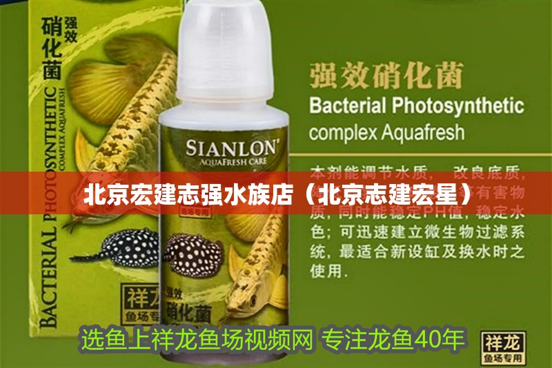 北京宏建志強水族店（北京志建宏星）