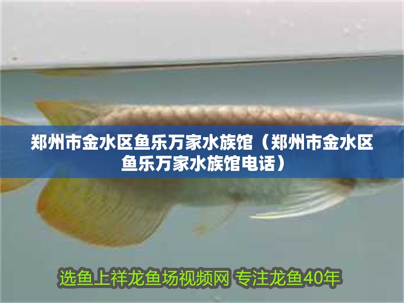 鄭州市金水區魚樂萬家水族館（鄭州市金水區魚樂萬家水族館電話）