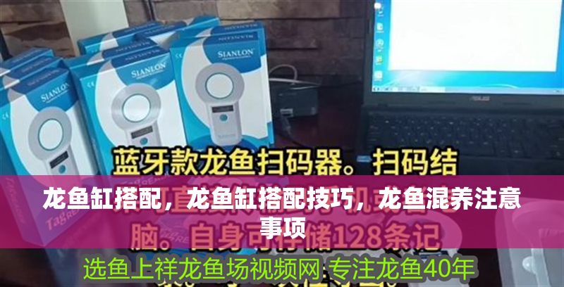 龍魚缸搭配，龍魚缸搭配技巧，龍魚混養注意事項