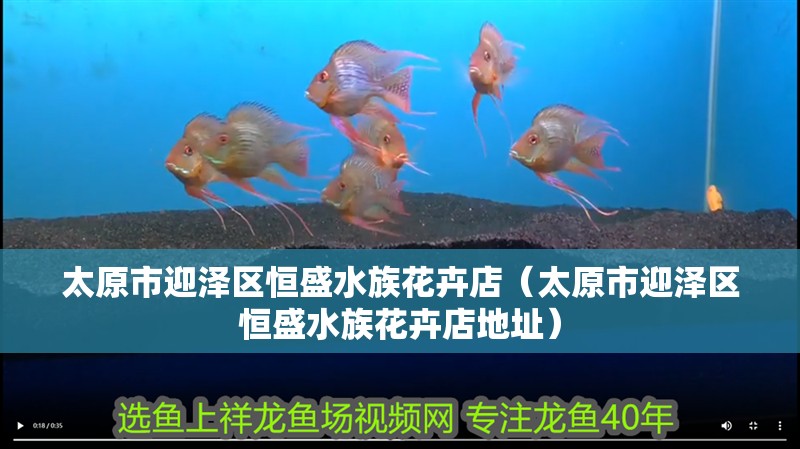 太原市迎澤區恒盛水族花卉店（太原市迎澤區恒盛水族花卉店地址）