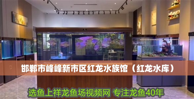 邯鄲市峰峰新市區(qū)紅龍水族館（紅龍水庫）