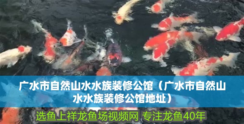 廣水市自然山水水族裝修公館（廣水市自然山水水族裝修公館地址）