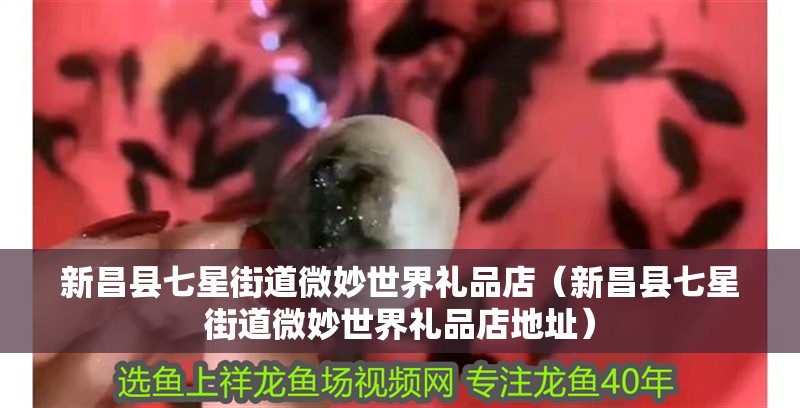 新昌縣七星街道微妙世界禮品店(新昌縣七星街道微妙世界禮品店地址) 全國水族館企業名錄 第2張 新昌縣七星街道微妙世界禮品店(新昌縣七星街道微妙世界禮品店地址) 新昌縣七星街道微妙世界禮品店(新昌縣七星街道微妙世界禮品店地址) 全國水族館企業名錄 第2張
