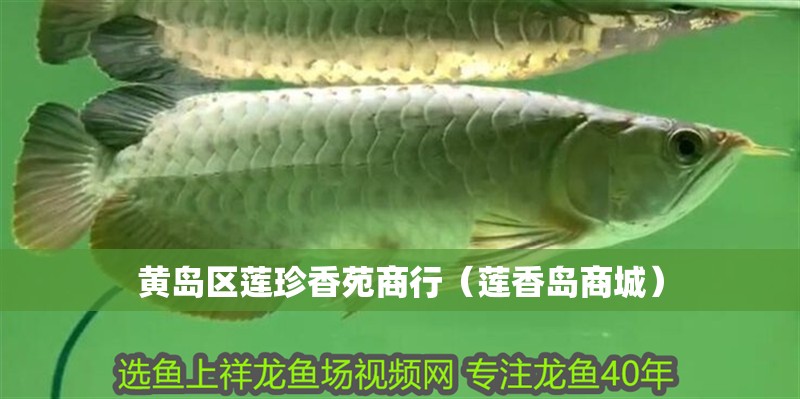 黃島區蓮珍香苑商行（蓮香島商城） 黃島區蓮珍香苑商行（蓮香島商城） 全國水族館企業名錄 第2張