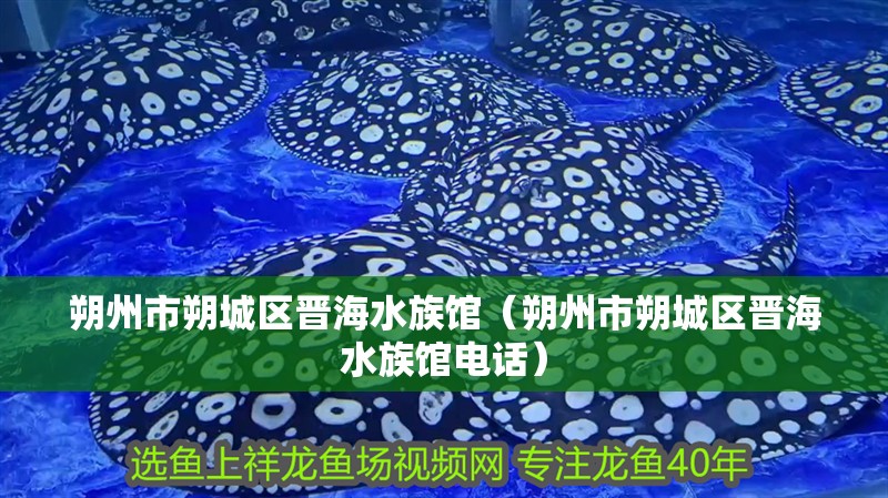 朔州市朔城區(qū)晉海水族館（朔州市朔城區(qū)晉海水族館電話）