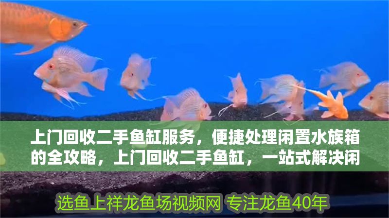 上門回收二手魚缸服務，便捷處理閑置水族箱的全攻略，上門回收二手魚缸，一站式解決閑置水族箱處理難題