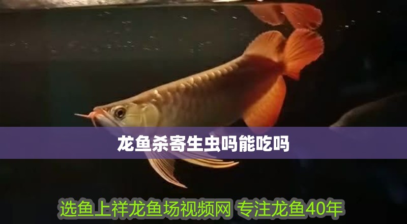 龍魚殺寄生蟲嗎能吃嗎