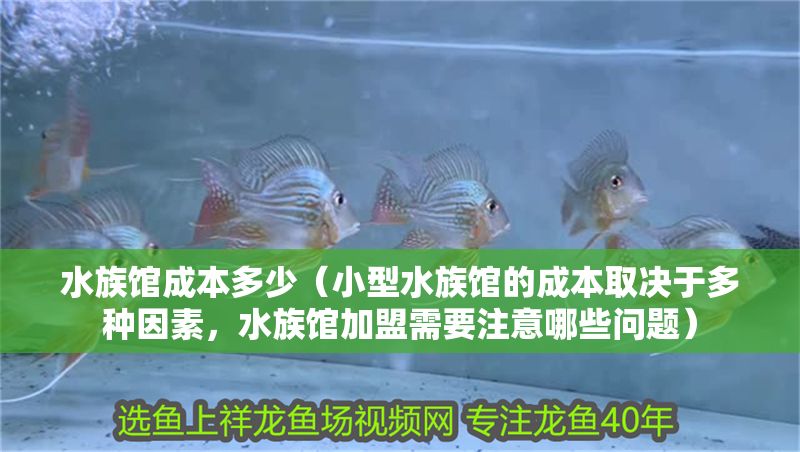 水族館成本多少（小型水族館的成本取決于多種因素，水族館加盟需要注意哪些問(wèn)題）