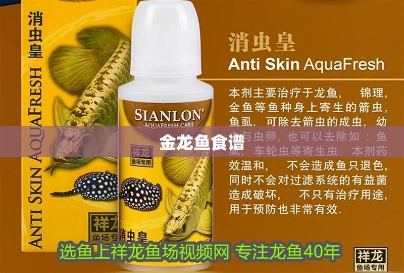 金龍魚食譜 金龍魚食譜 龍魚百科 第2張