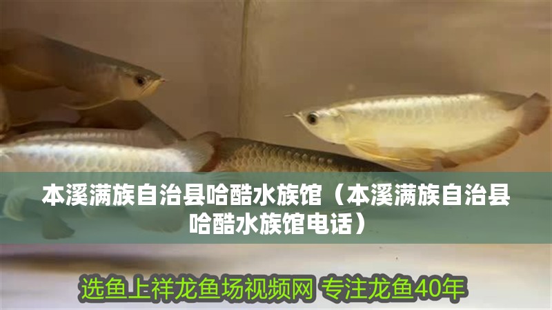 本溪滿族自治縣哈酷水族館（本溪滿族自治縣哈酷水族館電話）