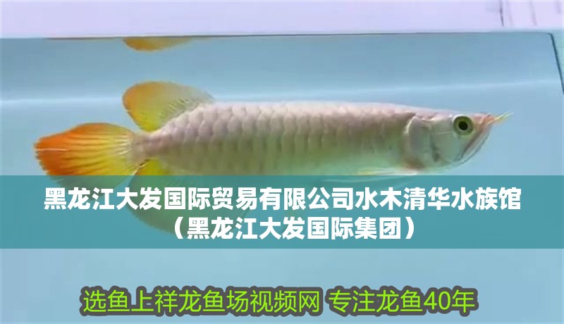 黑龍江大發國際貿易有限公司水木清華水族館（黑龍江大發國際集團） 黑龍江大發國際貿易有限公司水木清華水族館（黑龍江大發國際集團） 全國水族館企業名錄 第2張
