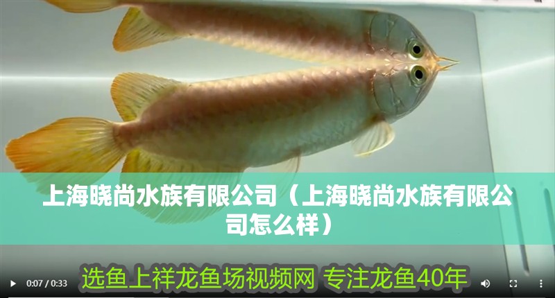 上海曉尚水族有限公司（上海曉尚水族有限公司怎么樣） 上海曉尚水族有限公司（上海曉尚水族有限公司怎么樣） 全國水族館企業名錄 第2張