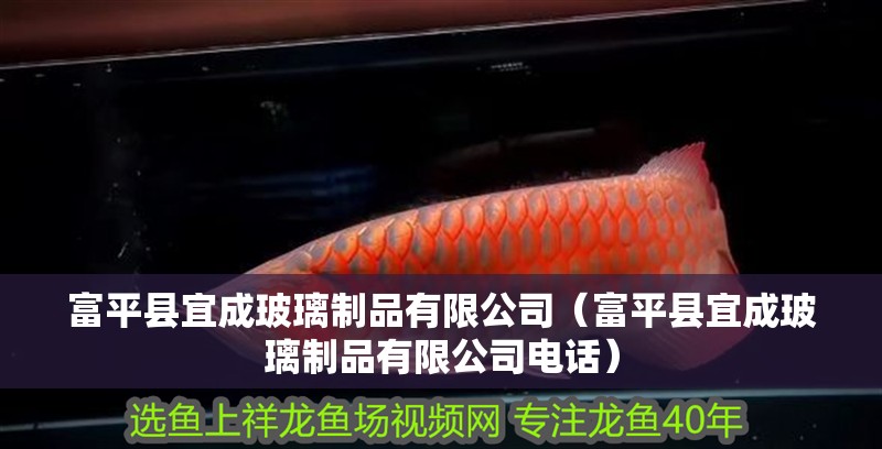 富平縣宜成玻璃制品有限公司（富平縣宜成玻璃制品有限公司電話） 富平縣宜成玻璃制品有限公司（富平縣宜成玻璃制品有限公司電話） 全國水族館企業(yè)名錄 第2張