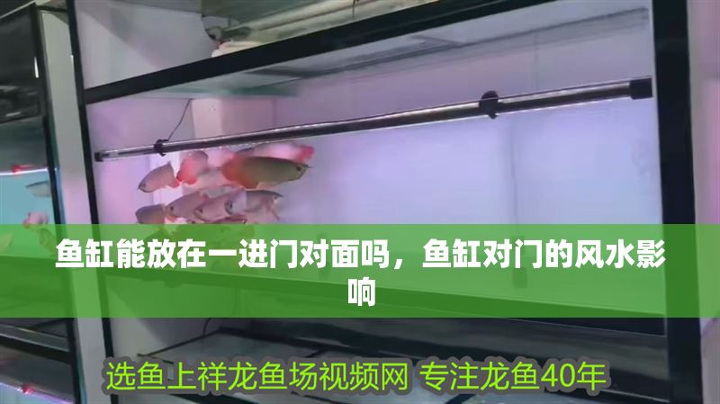魚缸能放在一進門對面嗎，魚缸對門的風水影響