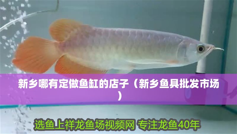 新鄉(xiāng)哪有定做魚缸的店子（新鄉(xiāng)魚具批發(fā)市場）