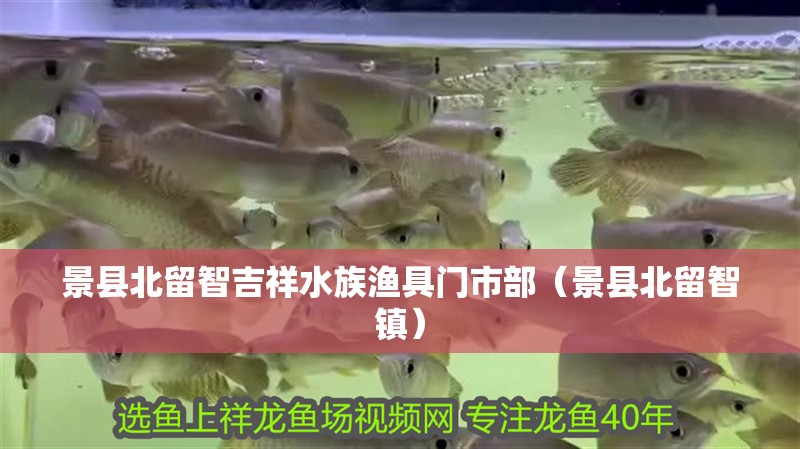 景縣北留智吉祥水族漁具門市部（景縣北留智鎮） 景縣北留智吉祥水族漁具門市部（景縣北留智鎮） 全國水族館企業名錄 第2張