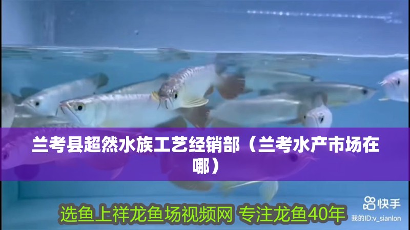 蘭考縣超然水族工藝經銷部(蘭考水產市場在哪) 全國水族館企業名錄 第2張 蘭考縣超然水族工藝經銷部(蘭考水產市場在哪) 蘭考縣超然水族工藝經銷部(蘭考水產市場在哪) 全國水族館企業名錄 第2張