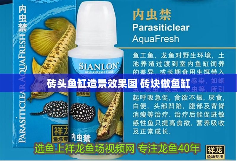 磚頭魚缸造景效果圖 磚塊做魚缸