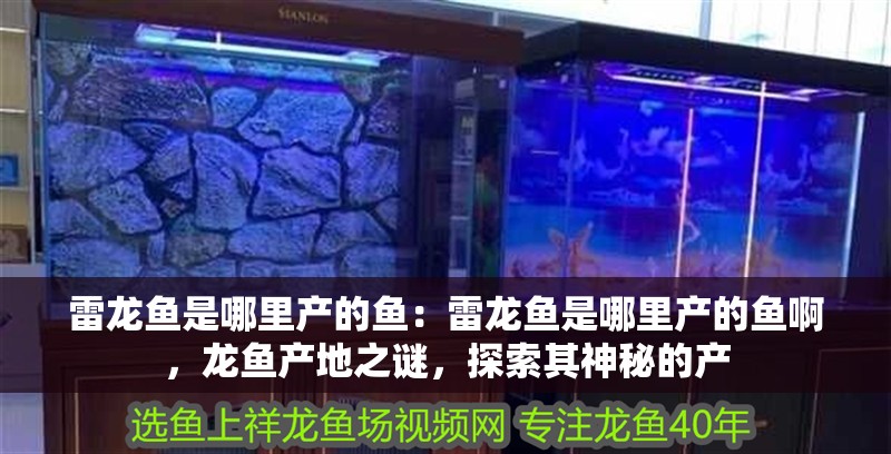 雷龍魚(yú)是哪里產(chǎn)的魚(yú)：雷龍魚(yú)是哪里產(chǎn)的魚(yú)啊，龍魚(yú)產(chǎn)地之謎，探索其神秘的產(chǎn)
