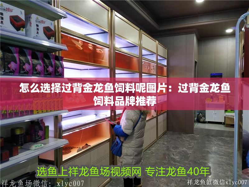 怎么選擇過背金龍魚飼料呢圖片：過背金龍魚飼料品牌推薦 怎么選擇過背金龍魚飼料呢圖片：過背金龍魚飼料品牌推薦 金龍魚百科 第1張