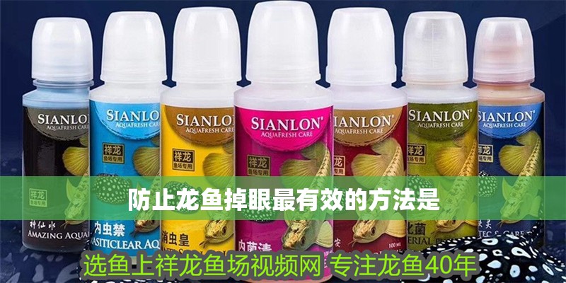 防止龍魚掉眼最有效的方法是