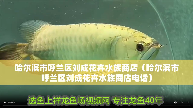 哈爾濱市呼蘭區劉成花卉水族商店（哈爾濱市呼蘭區劉成花卉水族商店電話）