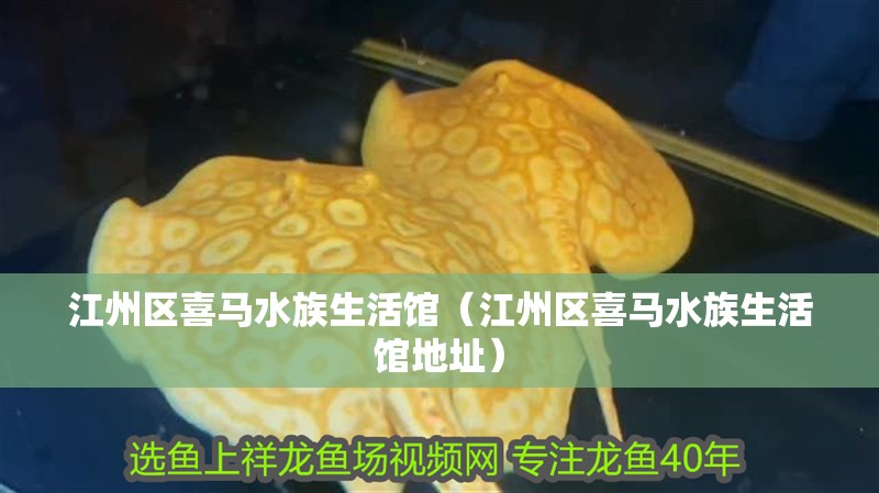 江州區喜馬水族生活館(江州區喜馬水族生活館地址) 全國水族館企業名錄 第3張 江州區喜馬水族生活館(江州區喜馬水族生活館地址) 江州區喜馬水族生活館(江州區喜馬水族生活館地址) 全國水族館企業名錄 第3張