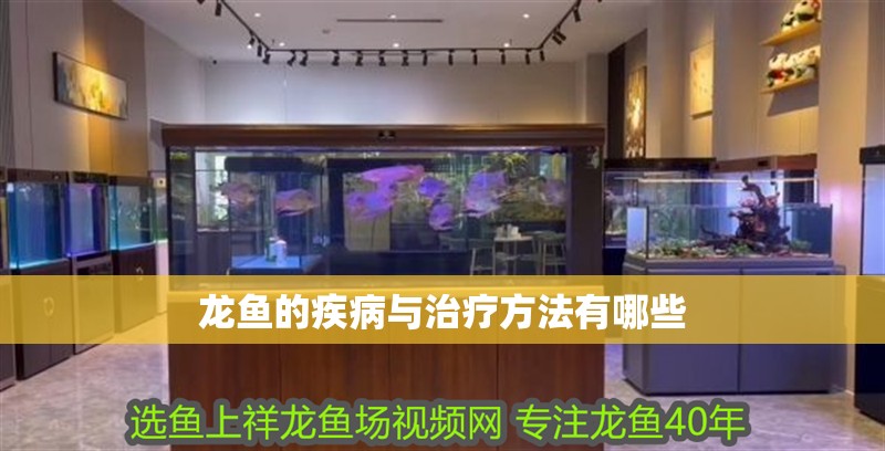 龍魚的疾病與治療方法有哪些