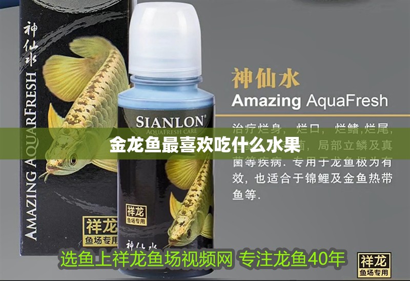 金龍魚最喜歡吃什么水果 金龍魚最喜歡吃什么水果 龍魚百科 第2張