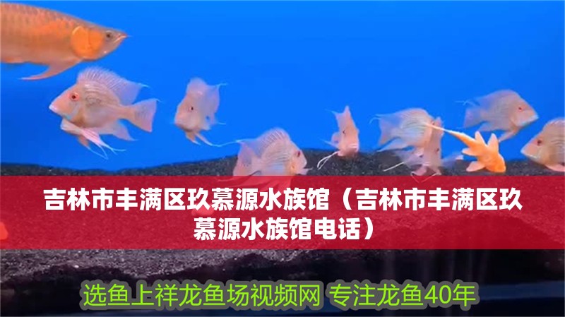 吉林市豐滿區玖慕源水族館（吉林市豐滿區玖慕源水族館電話）