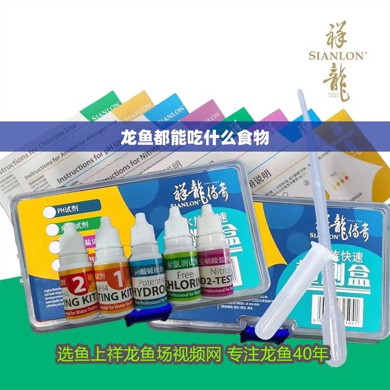 龍魚都能吃什么食物 龍魚都能吃什么食物 龍魚百科 第2張