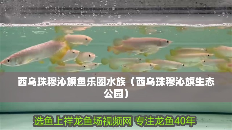 西烏珠穆沁旗魚樂圈水族（西烏珠穆沁旗生態公園）